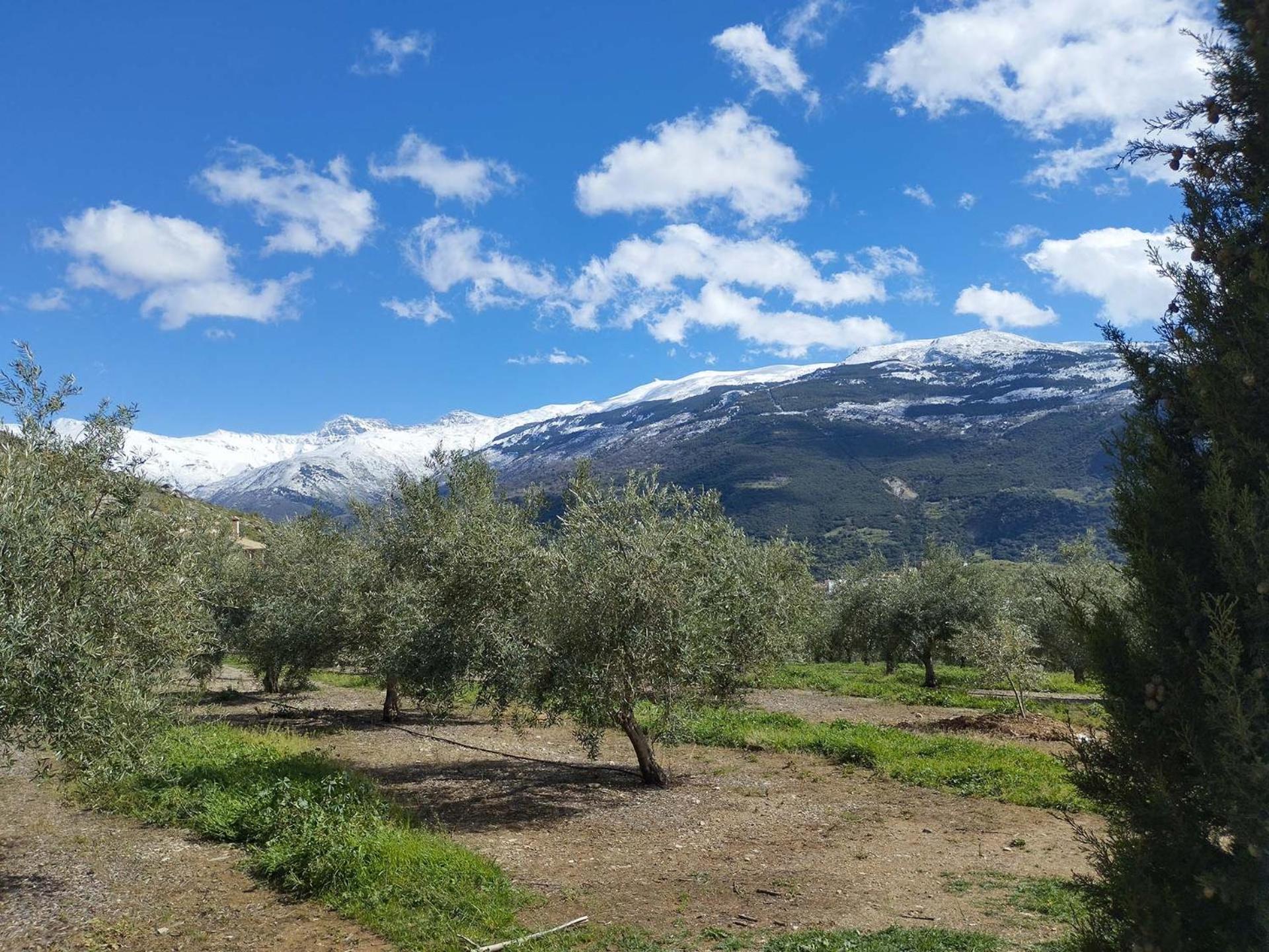 Ragon Residencial, 11 Villa Güéjar Sierra Kültér fotó